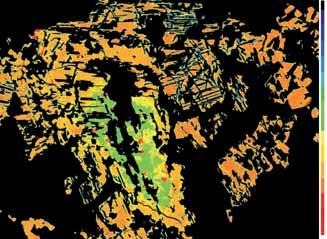 inhomogeneous chemical composition Zones enriched with Al 3+,Cr 3+ and Mg 2+ are green, zones enriched with Fe 3+ and Fe 2+ are red Zarysy ziaren magnetytu chromowego w niektórych nagromadzeniach