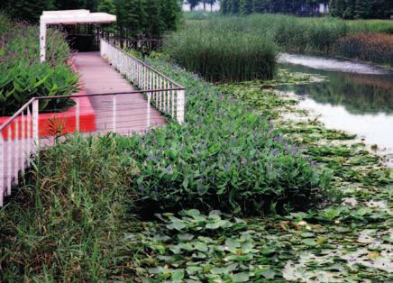 Park Houtan Szanghaj (Chiny), rozpoczęcie projektowania 2007 r., oddanie do użytku 2010 r.