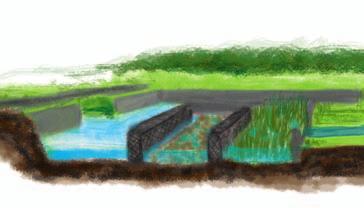 Iwona Wagner, Kinga Krauze strefa intensywnej sedymentacji strefa intensywnych procesów biogeochemicznych strefa biofiltracyjna Sekwencyjne systemy sedymentacyjnobiofiltracyjne Sekwencyjny system