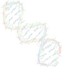 Ustalenie struktury przestrzennej DNA