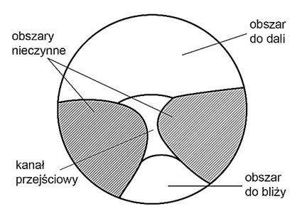 Zadanie 7. Dno oka można oglądać przy pomocy Zadanie 8. foropteru. tonometru. keratometru. oftalmoskopu. Na rysunku jest przedstawiona soczewka Zadanie 9. asferyczna. progresywna. pryzmatyczna.