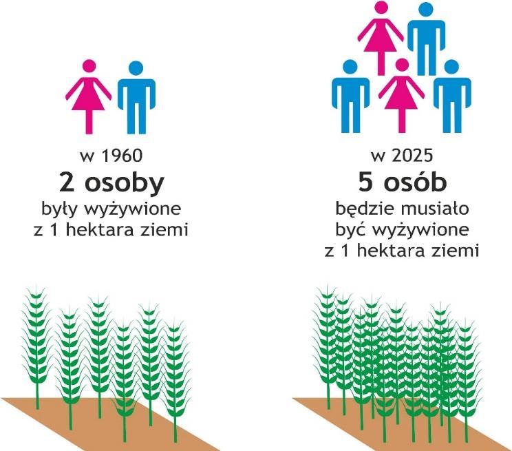 16 BIZNES NAWOZY AGRO W KONTEKŚCIE GLOBALNYM BILANS PRODUKCJI I KONSUMPCJI ZBÓŻ NA ŚWIECIE 1995 2036 1984 2077 2054 2065 2084 1804 1748 1854 1795 1930 1978 1962 1768 1784 1853 1814 w 1960 r.