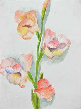 29 Anna Maślakiewicz- -Brzozowska (1912 1986) Gladiola akwarela,