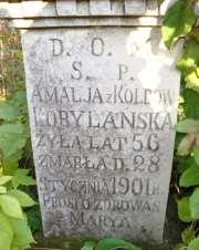 101 Urodził się 1888 roku (około), syn Jana. Nauczyciel Szkoły Elementarnej w Bereściu (-1910-1914-) 763. 4.443. Kobrzyński Franciszek, 1786-, ekonom dóbr Teratyn Urodził się w 1786 roku (około).