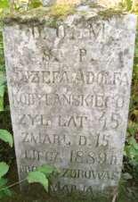 103 Nagrobek 15 Rok 2010, 10 października. Nagrobek Józefa Adolfa Kobylańskiego (foto Henryk Kulik). Urodził się w 1844 roku (około) 779. Zmarł, w wieku 45 lat, 15 lipca 1889 roku.