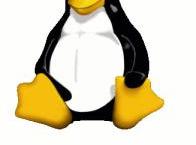 Podstawowy