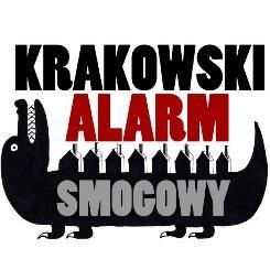 Raport przedstawia wyłącznie poglądy autora, a Komisja
