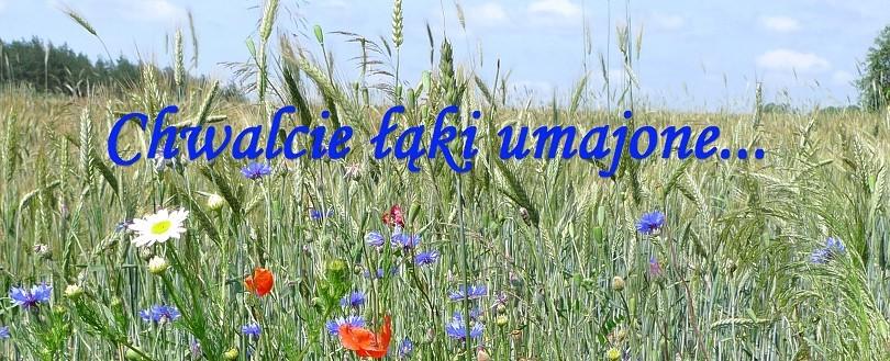 Maj - dla wielu najpiękniejszy miesiąc roku - to w Kościele okres szczególnej czci