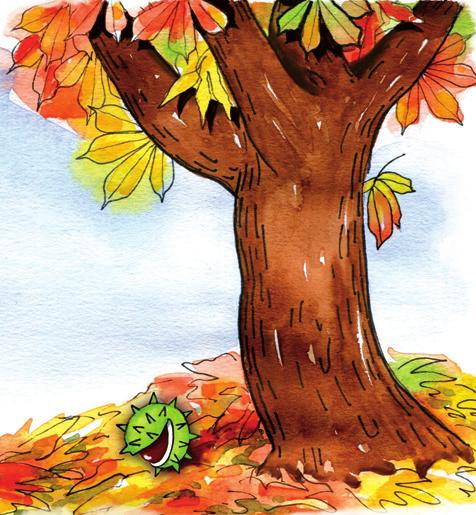 1. Pani Jesień malowała świat swoimi ulubionymi barwami. Jakich farb mogła użyć do pomalowania narysowanych roślin i zwierząt? Pokoloruj ilustracje odpowiednimi barwami.