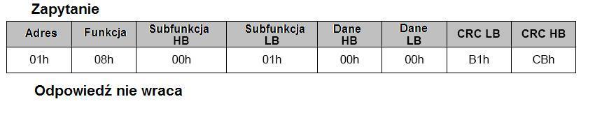 Funkcja 08h zapewnia szereg testów do sprawdzenia systemu komunikacji pomiędzy komputerem i, a także do sprawdzenia sprawności działania.