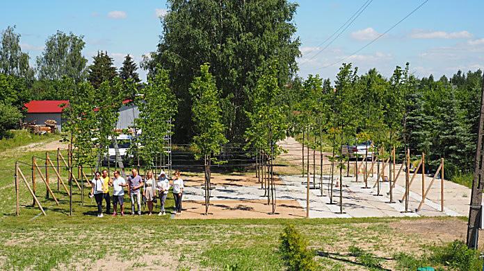 Ponadto pozytywnie oddziałują na system korzeniowy roślin, ograniczając problem stresu wodnego, nadmiernego zagęszczenia gleby oraz zbyt małej objętości gleby w stosunku do potrzeb ukorzenienia.