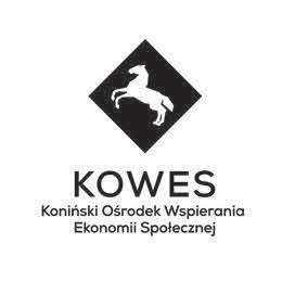 k. współpracę z mediami w zakresie prezentacji przedsiębiorczości społecznej, w tym spółdzielni socjalnych jako możliwości rozwiązania problemu ubóstwa, bezrobocia i wykluczenia społecznego, l.