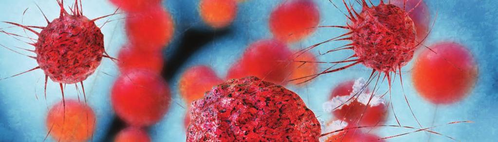Rozdział 1 Wprowadzenie Wprowadzenie Celem tego podręcznika jest omówienie podstaw biologii molekularnej nowotworów oraz pokazanie procesu koncepcyjnego ukierunkowanego na projektowanie bardziej