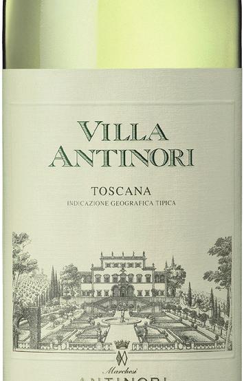 Fruity, fresh Pinot Grigio with delicate flower accent. It has a strawgold color with green flashes. On the palate full, balanced, with good structure. Aromas of white flowers and apples.