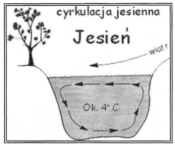 ..... termoklina albo Inna nazwa warstwa skokowa, wąska warstwa wody l- 2m w której następuje gwałtowny spadek temperatury, nawet o 12C.