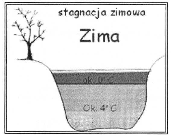 W czerwcu dochodzi do 7-8m i tam utrzymuje się przez okres lata. Na jesieni woda ochładza się od powierzchni i termoklina zanika. Dochodzi do miksji.