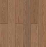 Scotch Larix
