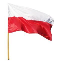 Symbole narodowe i ich znaczenie Symbole narodowe to przedmioty, które reprezentują wartości narodów, państw, a nawet regionów.