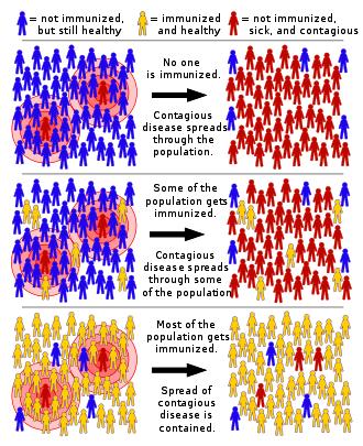 Odporność stada (Herd immunity) Próg krytyczny prawdopodobieństwa infekcji zależy od