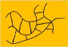 dendrymery