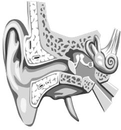 podczas zanurzania jest najczęstszym problemem medycznym nurkujących. Najczęściej dochodzi do urazu ciśnieniowego ucha środkowego, rzadziej ucha wewnętrznego i najrzadziej ucha zewnętrznego.
