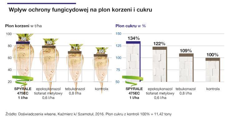 SPYRALE 475EC - nowe narzędzie w strategii antyodpornościowej zwalczania chwościka W roku 2017 po raz pierwszy w sprzedaży pojawi się w Polsce nowy fungicyd SPYRALE 475EC do kompletnej ochrony buraka