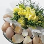 Wielkanocne kompozycje kwiatowe piękną aranżacją domu Hiacynty, tulipany, narcyzy, jaskry czy frezje tych kwiatów nie powinno