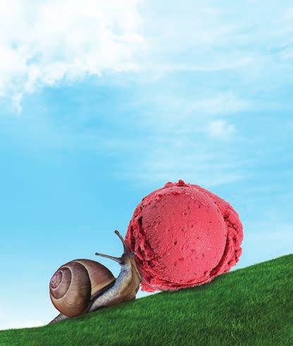 TENACE sciroppo per sorbetto ad alta stabilità Pasteryzowany i całkowicie naturalny Syrop Tenace może być wykorzystywany do szybkiego przygotowywania wysokiej jakości sorbetów owocowych, ale też