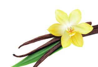 Wyjątkowa odmiana Z trzech odmian wanilii, pochodzących z Madagaskaru, Reunion i Tahiti, ta ostatnia cechuje się najbogatszym aromatem.