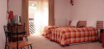 Atuty hotelu to restauracja serwująca dania tradycyjnej kuchni polskiej, kawiarnia ze stylowym kominkiem, sala bankietowa i konferencyjna, altana nad stawem, relaks w SPA (jacuzzi, siłownia) oraz
