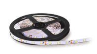 ŹRÓDŁA ŚWIATŁA LIGHT SOURCES LINIOWE MODUŁY LED / LINEAR LED MODULES LED TRAMO 300 [3528] IP20 CZERWONA / RED 5000 8 50 - maksymalny pobór mocy: 24W, - kąt rozsyłu światła: 120 stopni, - produkt