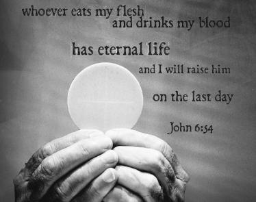6th Sunday in Ordinary Time 6 Niedziela Zwykła February 11, 2018 11 Luty 2018 Saturday - Sobota - February 10 Vigil: 6th Sunday in Ordinary Time 5:30 pm + Caroline Bujalkowski (John & Josephine
