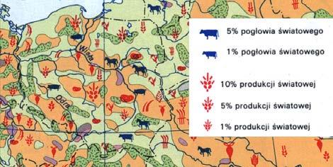Sygnatury liniowe porządkowe zastosowane do pokazania kategorii dróg (źródło: Atlas geograficzny. Polska, kontynenty, świat.