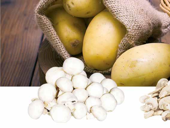 pakowana po 3 kg PIECZARKA CIĘTA