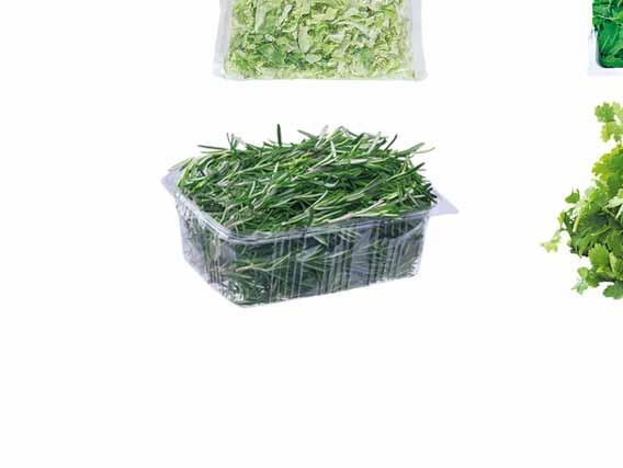 ROSZPONKA pakowana po 500 g ROZMARYN