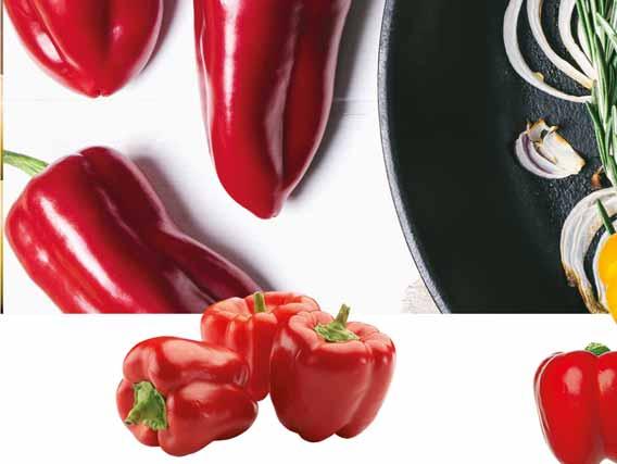 ofercie również papryka