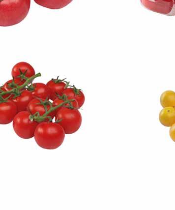 kg oraz 250 g POMIDOR CHERRY
