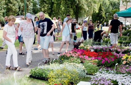 zwiedzających. Asortyment produktów i usług był bardzo szeroki i interesujący: od roślin po ciągniki, od usług doradczych po bankowe.