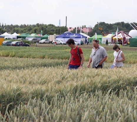 DNI POLA Grubno 16-17 czerwca Poletka i maszyny Organizatorzy Dni Pola: Kujawsko-Pomorski Ośrodek Doradztwa Rolniczego w Minikowie