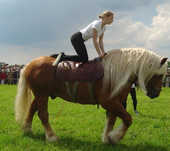 konik polski