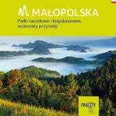Łatwy dostęp do informacji! MSIT: kierunek Małopolska!