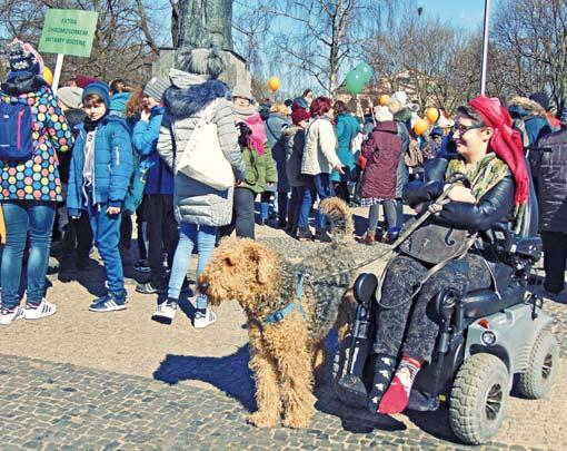 kundli do tworzenia meczów do pobrania za darmo