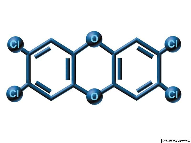 2,3,7,8-TCDD (tetrachloro dibenzo-p-dioksyna) 2,3,7,8-TCDF (tetrachloro dibenzofuran) powstaj jako niepodane produkty uboczne w reakcjach termicznych w reakcjach chemicznych w reakcjach