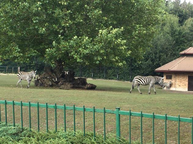 miejscowości, obiektów i tras turystycznych nadzorowanych