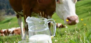Powered by TCPDF (www.tcpdf.org).pl https://www..pl oczywisty ekonomia: jest to mleko, którego nie można sprzedać. Trzeba jednak pamiętać, że taka oszczędność może przynieść bardzo złe skutki.