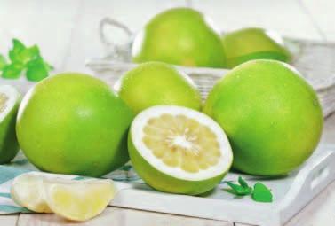 pochodzenia 5 99 Awokado