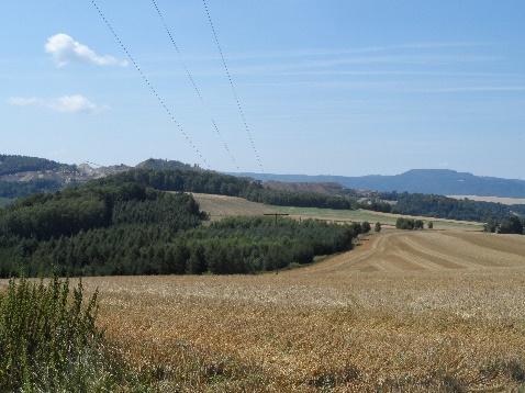 terenie leśnym, Odział w Wałbrzychu, Region Kłodzko