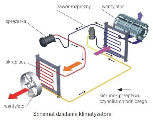 Budowa i zasada działania