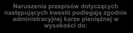 przedsiębiorstwa w wysokości do 2 % lub 20 000 000 EUR, ao w przypadku przedsiębiorstwa w wysokości