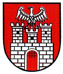 INFORMACJA o stanie realizacji zadań oświatowych Gminy Miasto Sieradz za rok szkolny 2008/2009 Opracowanie: Akceptuję: J.